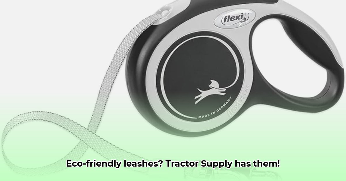 dog-leash-tractor-supply